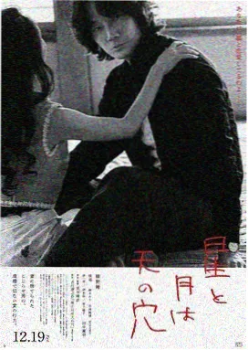 风骚律师